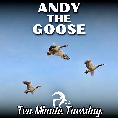 Andy the Goose, Say What?! Andy the Goose, Say What?!