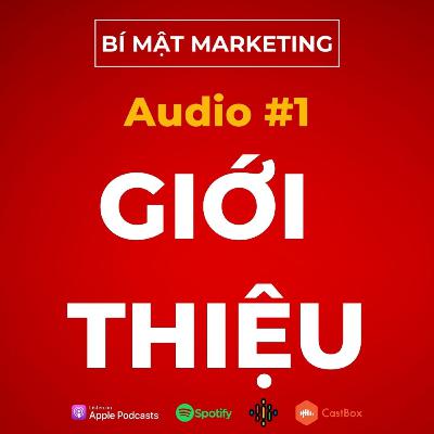 [BÍ MẬT MARKETING] Audio #1 : Giới thiệu về chuỗi audio về Marketing Online