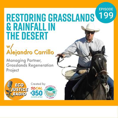 Greening the Desert: Restoring Grasslands & Rainfall Through Ranching