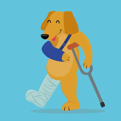 Fisioterapia y rehabilitación para mi Doggy T2:E2 Fisioterapia y rehabilitación para mi Doggy T2:E2