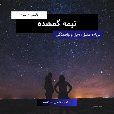 نیمه گمشده