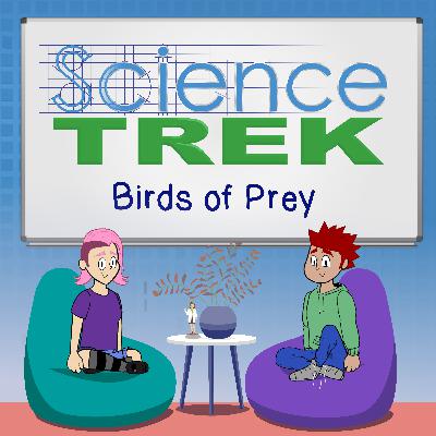 Birds of Prey