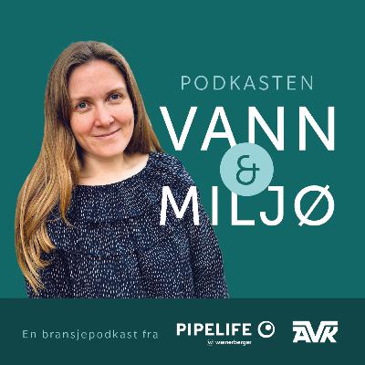 16: Klimamål i praksis
