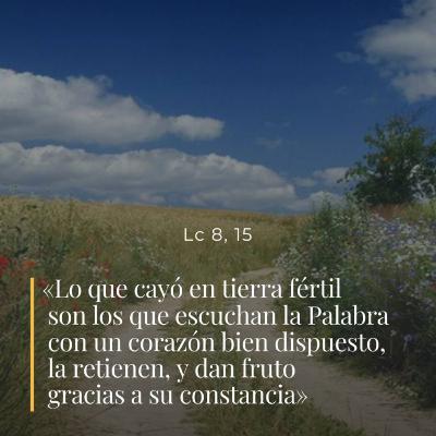 Lucas 8, 4-15 - XXIV Sábado del Tiempo Ordinario