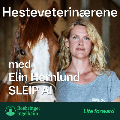 Fremtidens halthedsdiagnostikk og AI i veterinærmedicin, med Elin Hernlund fra SLEIP