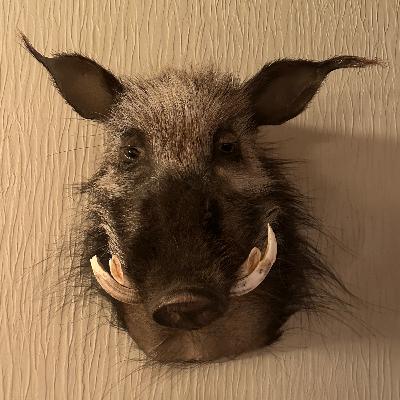 Underrated Plains Game Species Part 1