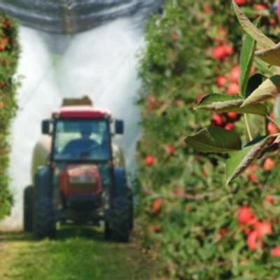 農薬「クロルピリホス」による環境汚染と「老化」「寿命」への影響　「微量の長期間の影響」を調べる方法