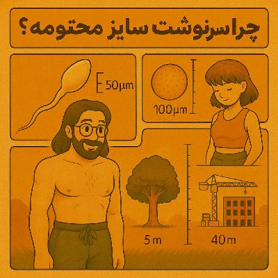 چراگاه ۱۹- چرا سرنوشتِ سایز محتومه؟