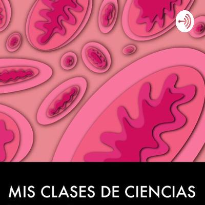 Los glúcidos