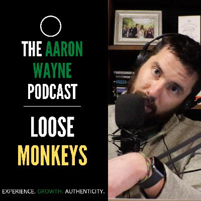 Loose Monkeys and Private Equity || Aaron Wayne Podcast 50 Loose Monkeys and Private Equity || Aaron Wayne Podcast 50