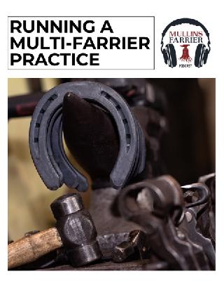 Running A Multi-Farrier Practice