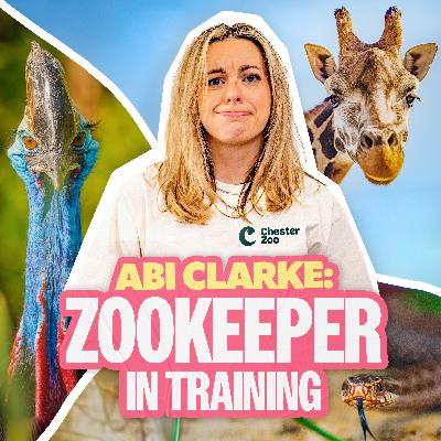 Coming Soon (Trailer)