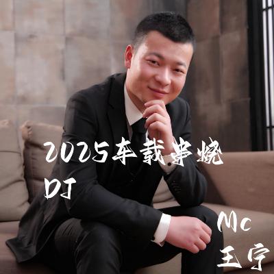 2025车载串烧DJ
