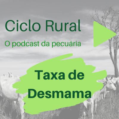 #07 - Taxa de Desmama