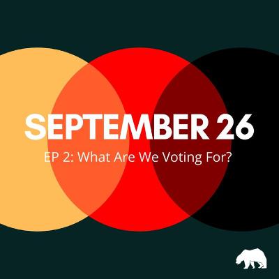 EP 2: What Are We Voting For?