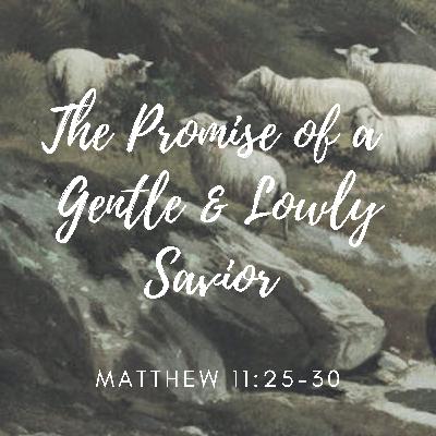 Promise of a Gentle & Lowly Savior