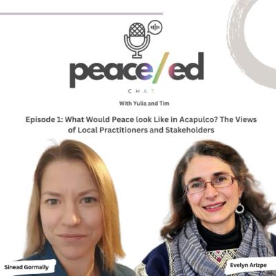 Episode 1- What Would Peace look Like in Acapulco? The Views of Local Practitioners and Stakeholders
