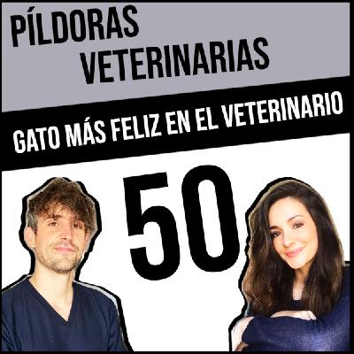 50. Consejos para que tu gato vaya feliz al veterinario