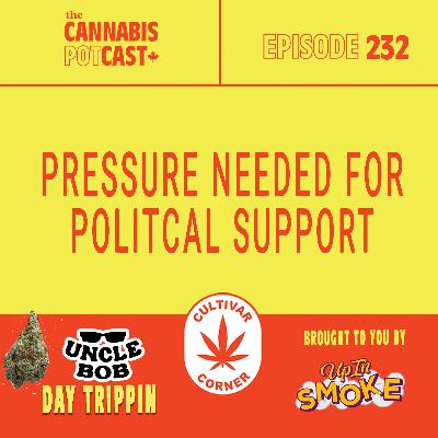 Pressure needed for political support Pressure needed for political support