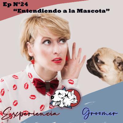 Episodio N°24 | Entendiendo a la Mascota