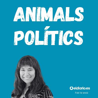 Ep. 8 - Davant l'ecocidi, la vida com a trinxera