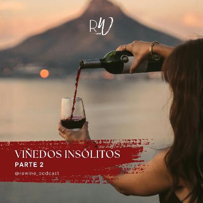 #223. Viñedos Insólitos Parte 2