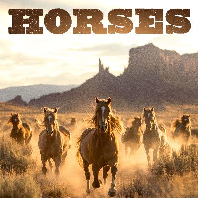 The Evolution of Horses: A Journey