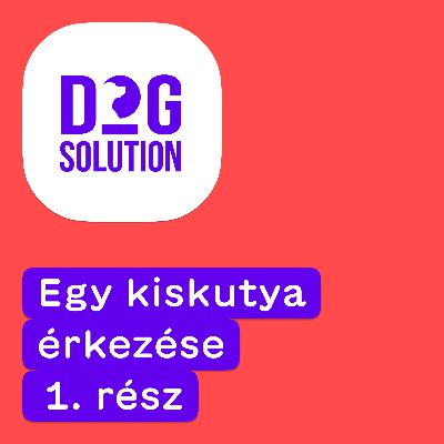 Dog Solution #07 - Egy kiskutya érkezése (1. rész) Dog Solution #07 - Egy kiskutya érkezése (1. rész)