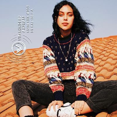 Vitamin Deep Express Main Mix #035 By Kal-Bella Vitamin Deep Express Main Mix #035 By Kal-Bella