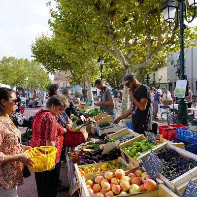 Maison d'Education à l'Alimentation Durable (MEAD) de Mouans-Sartoux Maison d'Education à l'Alimentation Durable (MEAD) de Mouans-Sartoux