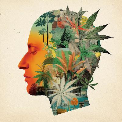 抑郁症的药物替代之辩——天然真能取代处方药？