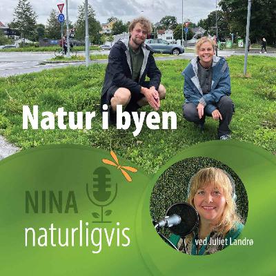 Natur i byen