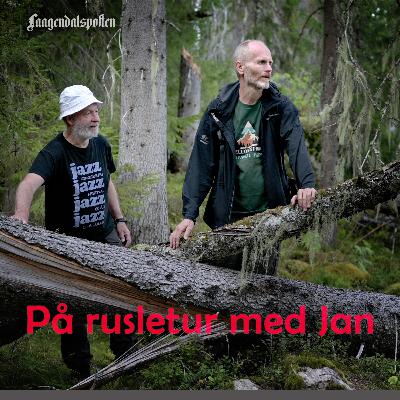 Asgeir Helgestad hilser fra gammelskogen