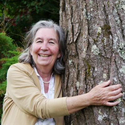 Vol.11 谈论一棵树，有时是一种权利