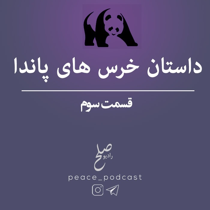 خرس های پاندا - اپیزود 3 - شب دوم