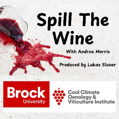 Spill the Wine Episode 36: Do YOU want to become a wine know it all? a visit to Brock University Cool Climate Oenology & Viticulture Institute