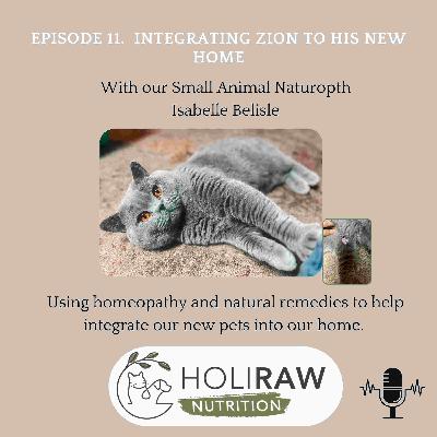 Integrating Zion In His New Home