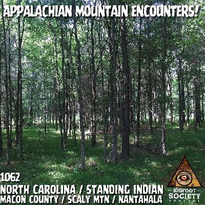 A Western North Carolina Researcher Shares 15 Years of Encounters in the Standing Indian Mountains | Archives