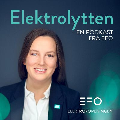 Derfor feirer vi mangfold