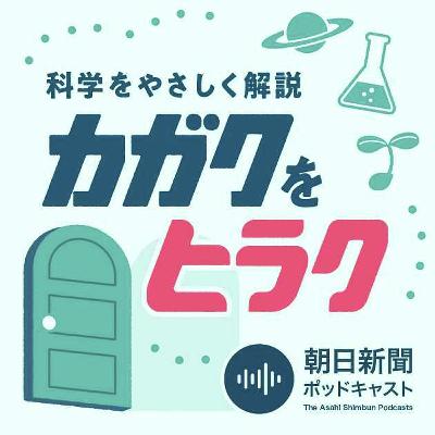 岐阜の山奥、地下600メートルの巨大空洞から夢みる「この世の原理」と「物質の起源」　ノーベル賞にも期待！「ハイパーカミオカンデ」に迫る #1988