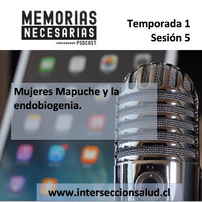 5.- Mujeres Mapuche y la endobiogenia.