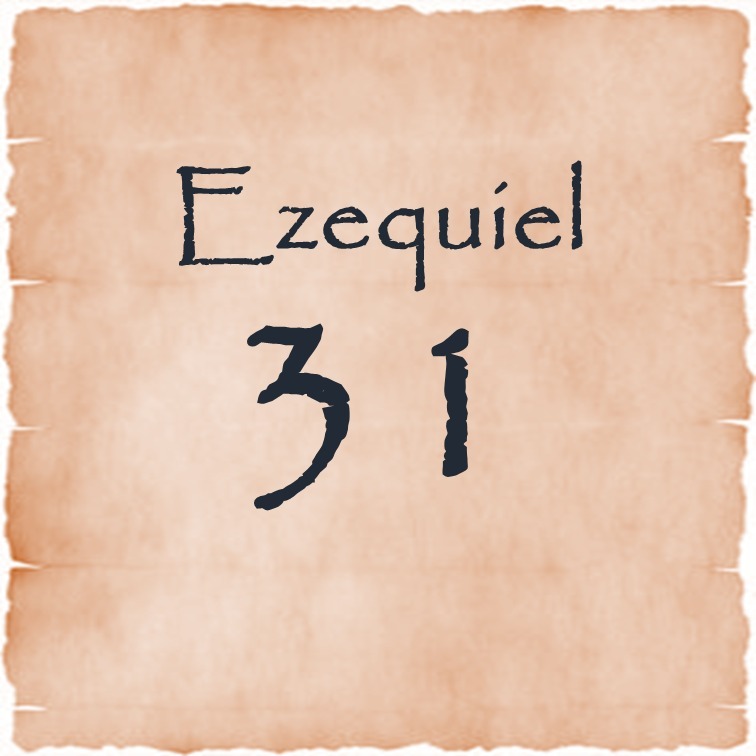 Ezequiel 31 episode artwork