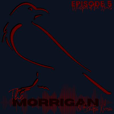 Episode 5 - The Morrigan & Echtra Nerai
