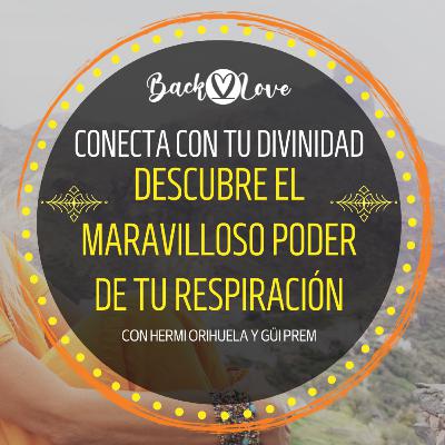 EL PODER DE LA RESPIRACIÓN CONSCIENTE Y CONECTADA - BACK2LOVE.ES
