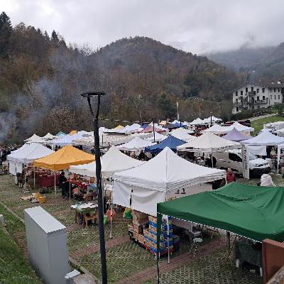 Posina celebra la terra: torna la mostra mercato dei prodotti locali Posina celebra la terra: torna la mostra mercato dei prodotti locali