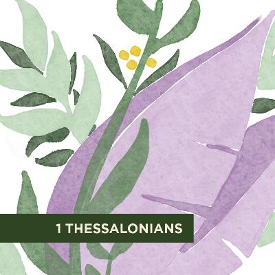 Habits of a Healthy Church