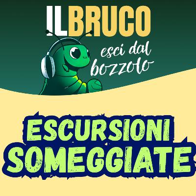 ESCURSIONI SOMEGGIATE: trekking in compagnia degli asini, con Teresa Tattoni ESCURSIONI SOMEGGIATE: trekking in compagnia degli asini, con Teresa Tattoni