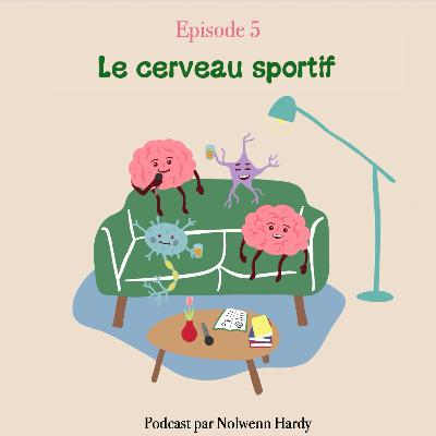 Le cerveau sportif