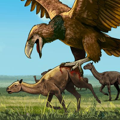 The Largest Dinosaur To Ever Fly