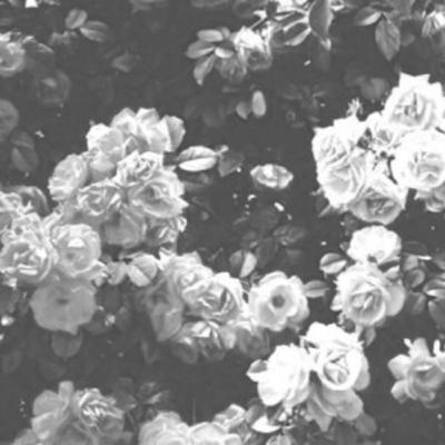 Ngobrol #02 : Biar apa?